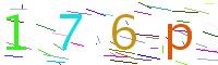 Verify Code