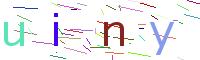 Verify Code