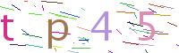 Verify Code