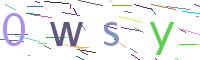 Verify Code