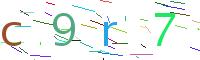 Verify Code