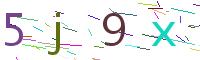 Verify Code