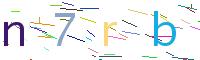 Verify Code