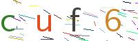 Verify Code