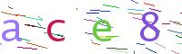 Verify Code